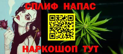 прущие крисы Моздок