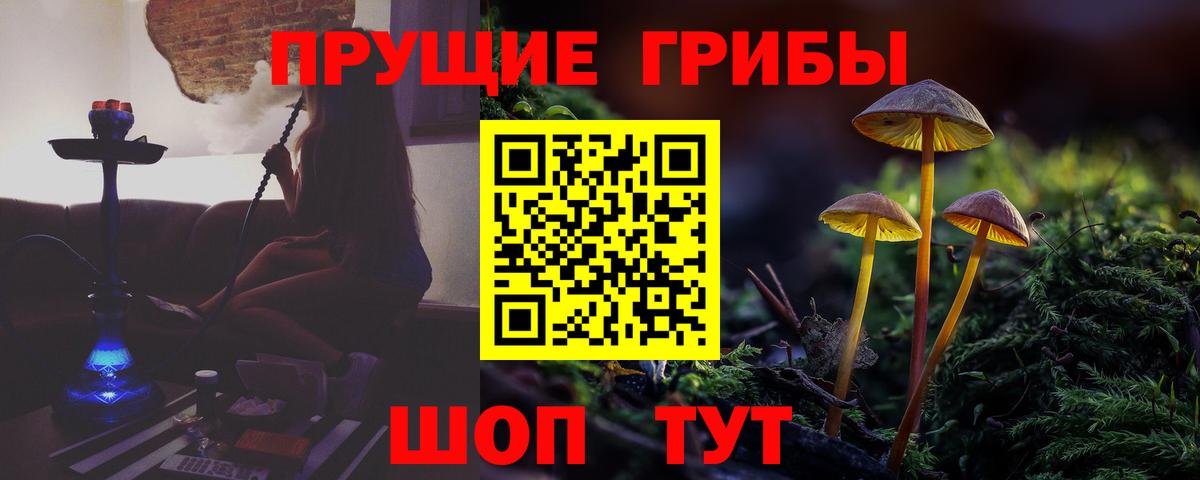 Псилоцибиновые грибы мицелий Воскресенск