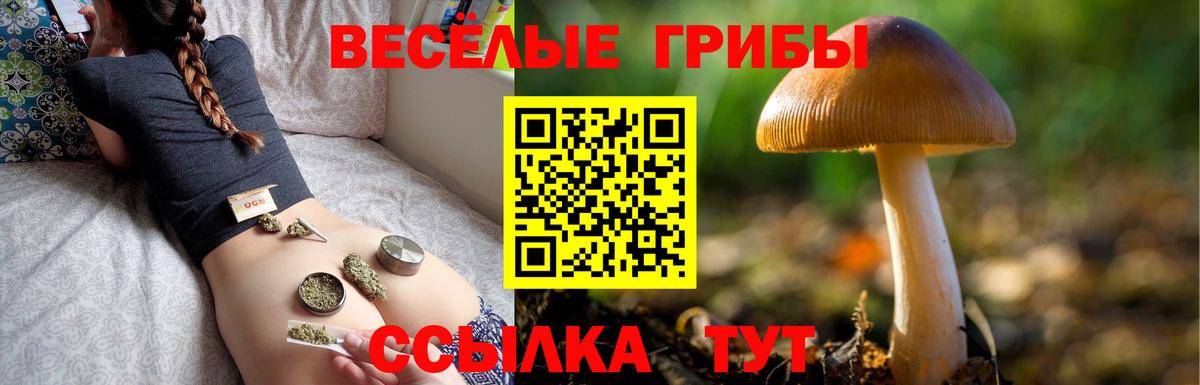 Псилоцибиновые грибы GOLDEN TEACHER  Вход с VPN  Воскресенск 